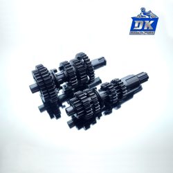 Ejes y engranajes Caja de cambio RX150 - WSTD